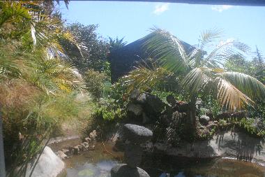 Chalet in Caniço (Madeira) oder Ferienwohnung oder Ferienhaus