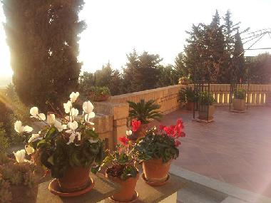 Ferienwohnung in Tarquinia (Viterbo) oder Ferienwohnung oder Ferienhaus