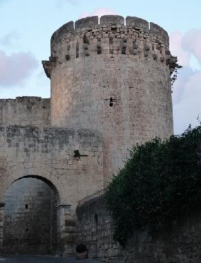Ferienwohnung in Tarquinia (Viterbo) oder Ferienwohnung oder Ferienhaus