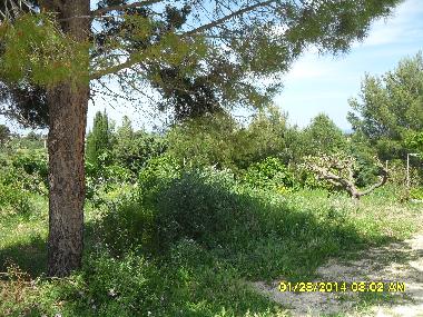 Ferienhaus in Scopello (Trapani) oder Ferienwohnung oder Ferienhaus