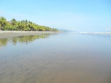 Menschenmengen am Strand