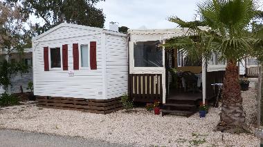 Chalet in Hy�res (Var) oder Ferienwohnung oder Ferienhaus