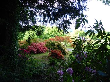 Ferienhaus in Plouz�lambre (C�tes-d