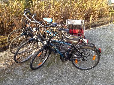 Ferienwohnung in Ameland Buren (Friesland) oder Ferienwohnung oder Ferienhaus