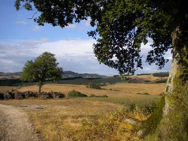 Ferienwohnung in Casole d
