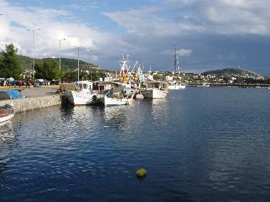 Ferienwohnung in N.Artaki (Evvoia) oder Ferienwohnung oder Ferienhaus
