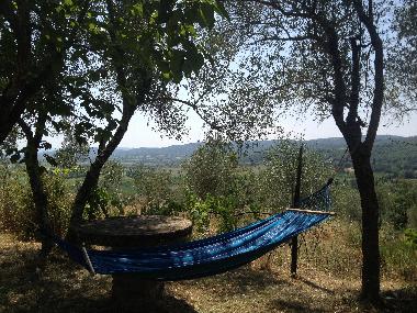 Garten mit H�ngematte zum entspannen