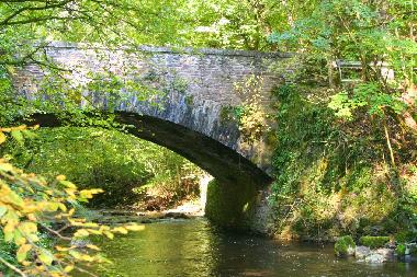 Ferienwohnung in Alf (Mosel - Saar) oder Ferienwohnung oder Ferienhaus