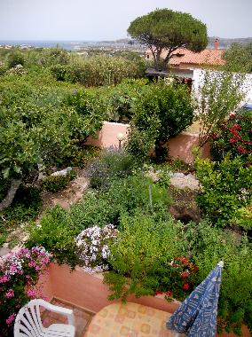 Ferienwohnung in la maddalena (Olbia-Tempio) oder Ferienwohnung oder Ferienhaus