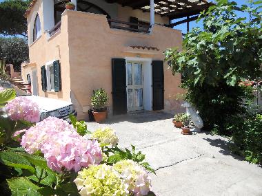 Ferienwohnung in la maddalena (Olbia-Tempio) oder Ferienwohnung oder Ferienhaus