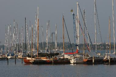 Ferienwohnung in 24392 (Ostsee-Festland) oder Ferienwohnung oder Ferienhaus