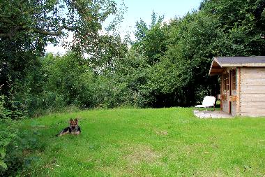 Ferienwohnung in 24392 (Ostsee-Festland) oder Ferienwohnung oder Ferienhaus