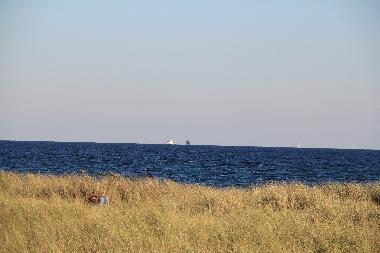 Ferienwohnung in 24392 (Ostsee-Festland) oder Ferienwohnung oder Ferienhaus