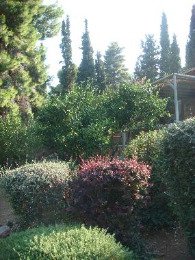 Villa in Xiropigado (Arkadia) oder Ferienwohnung oder Ferienhaus