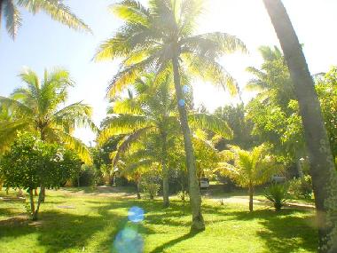 Ferienhaus in Grand Baie (Pamplemousses) oder Ferienwohnung oder Ferienhaus