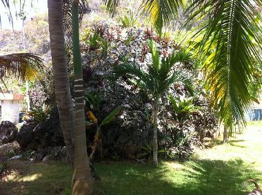 Ferienwohnung in Saman� (Samana) oder Ferienwohnung oder Ferienhaus