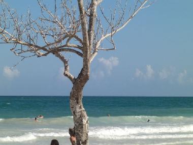 Ferienhaus in Diani Beach Kenia (Coast) oder Ferienwohnung oder Ferienhaus