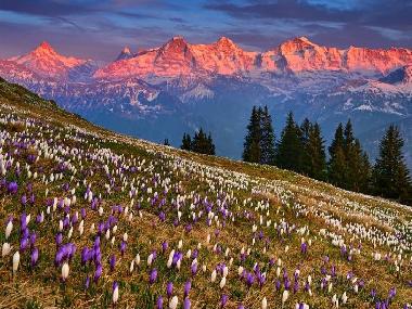 Mit Respekt sehen wir die Alpen, welch ein Panorama. Die Berge des Berner Oberlands, Eiger M�nch und