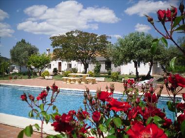 Villa in Lora del Rio (Sevilla) oder Ferienwohnung oder Ferienhaus