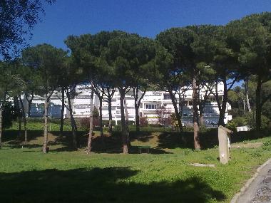 Ferienwohnung in Playa d