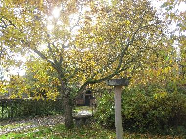 Ferienhaus in Wevelgem (Flandern) oder Ferienwohnung oder Ferienhaus