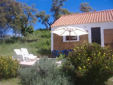 Ferienhaus in S�o Luis (Alentejo Litoral) oder Ferienwohnung oder Ferienhaus