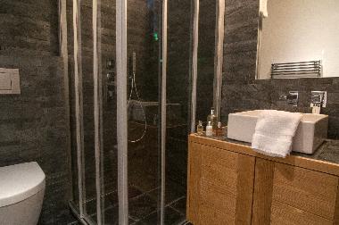 Chalet in Nendaz (Nendaz) oder Ferienwohnung oder Ferienhaus