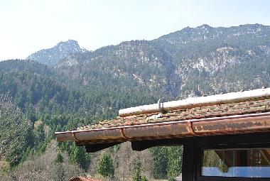 Ferienhaus in Garmisch-Partenkirchen (Oberbayern) oder Ferienwohnung oder Ferienhaus