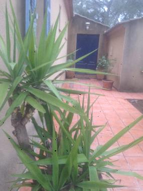 Ferienhaus in NIMES (Gard) oder Ferienwohnung oder Ferienhaus