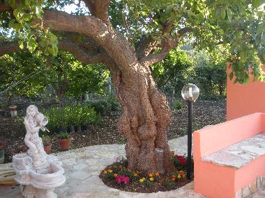 Villa in castellammare del golfo (Trapani) oder Ferienwohnung oder Ferienhaus