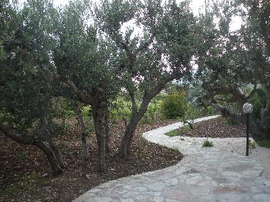 Villa in castellammare del golfo (Trapani) oder Ferienwohnung oder Ferienhaus