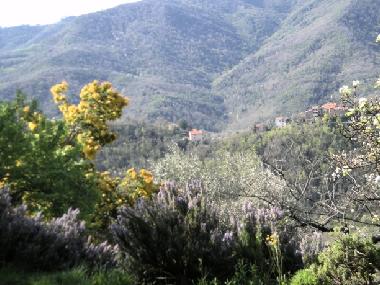 Landschaft Panoramablick