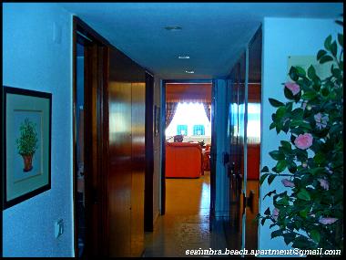 Ferienwohnung in Sesimbra (Pennsula de Setbal) oder Ferienwohnung oder Ferienhaus