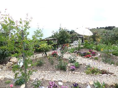 Pension in Costarainera (Imperia) oder Ferienwohnung oder Ferienhaus