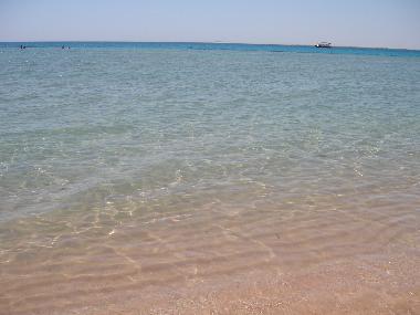 Ferienwohnung in Safaga (Al Bahr al Ahmar) oder Ferienwohnung oder Ferienhaus