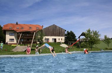 Ferienhaus mit Garten und Pool