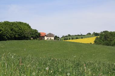 Wiesen, Wald und Weite...