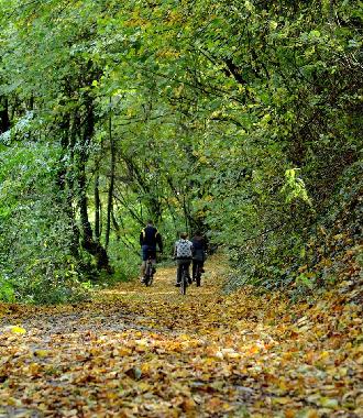 Radfahren von Haus zu den Wasserfaellen, Bild oben