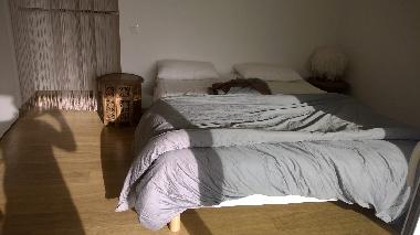 Ferienhaus in MOLIETS  (Landes) oder Ferienwohnung oder Ferienhaus