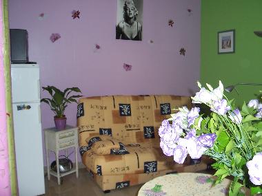 Ferienwohnung in cannes (Alpes-Maritimes) oder Ferienwohnung oder Ferienhaus