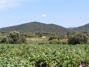 Ferienhaus in a garde freinet (Var) oder Ferienwohnung oder Ferienhaus