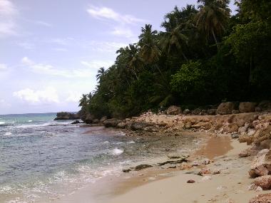 Ferienwohnung in Cabarete (Puerto Plata) oder Ferienwohnung oder Ferienhaus