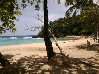 Ferienwohnung in Cabarete (Puerto Plata) oder Ferienwohnung oder Ferienhaus