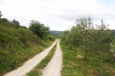 Ferienwohnung in Secovlje (Piran) oder Ferienwohnung oder Ferienhaus