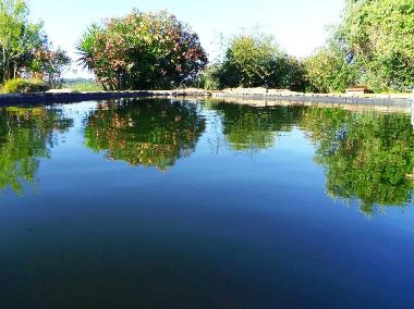 Ferienhaus in Santiago do Cac�m (Alentejo Litoral) oder Ferienwohnung oder Ferienhaus