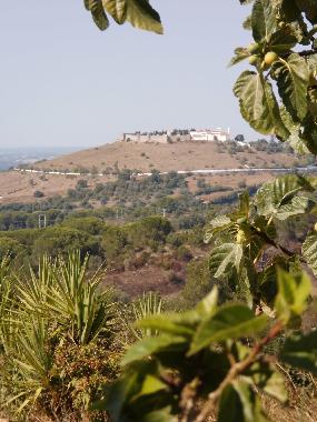 Ferienhaus in Santiago do Cac�m (Alentejo Litoral) oder Ferienwohnung oder Ferienhaus