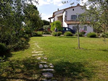 Ferienwohnung in Monte san savino (Arezzo) oder Ferienwohnung oder Ferienhaus