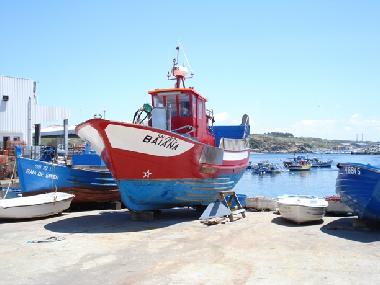 Ferienhaus in Santiago do Cac�m (Alentejo Litoral) oder Ferienwohnung oder Ferienhaus