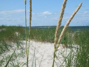 Ferienwohnung in Ostseebad K�hlungsborn (Mecklenburgische Ostseek�ste) oder Ferienwohnung oder Ferienhaus