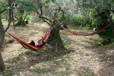 Ferienhaus in zagora (Magnisia) oder Ferienwohnung oder Ferienhaus